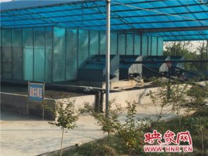 網(wǎng)絡(luò)媒體視角下的牧原集團(tuán) 養(yǎng)豬硬實(shí)力筑牢食品安全防線